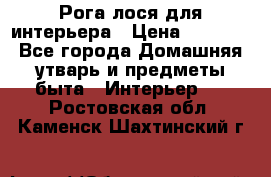 Рога лося для интерьера › Цена ­ 3 300 - Все города Домашняя утварь и предметы быта » Интерьер   . Ростовская обл.,Каменск-Шахтинский г.